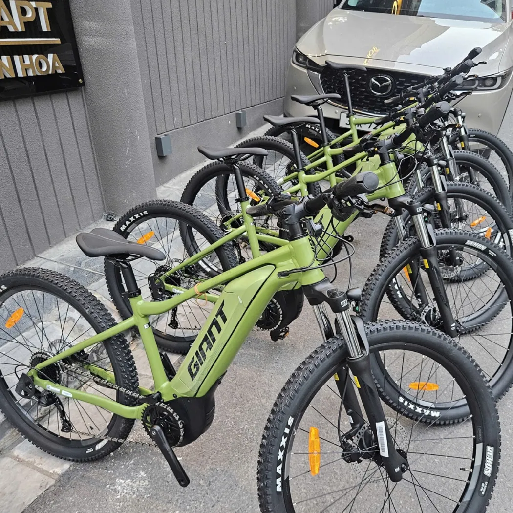 Giant Fathom E+ 2 Electric Assist Mountain Bike – ảnh 5