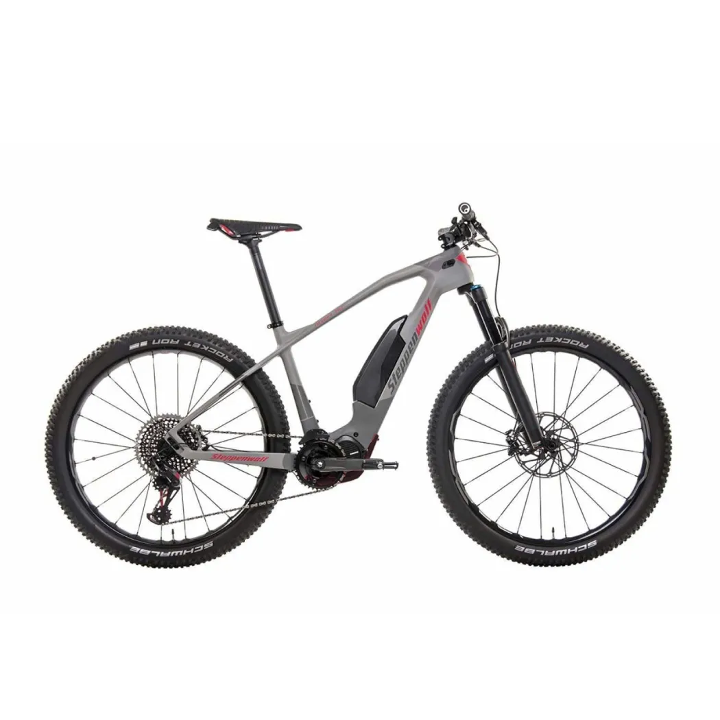 Steppenwolf Tundra E+ – ảnh 1